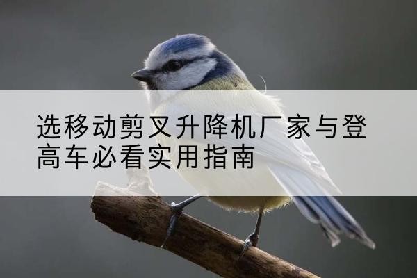 丰南电动升降机厂家-选移动剪叉升降机厂家与登高车必看实用指南