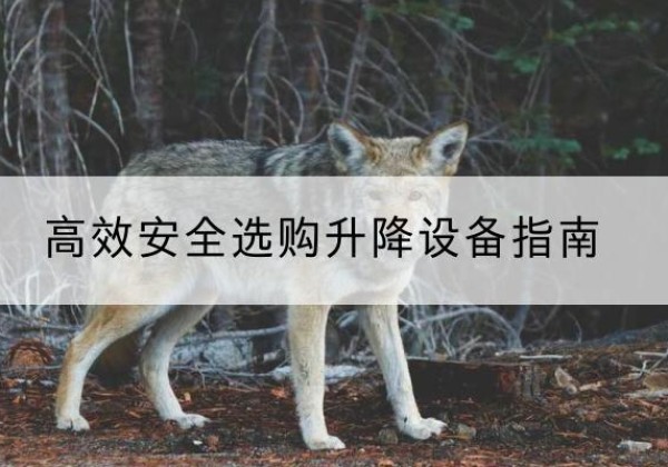 丰南升降货梯厂家推荐-*安全选购升降设备指南
