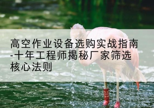 丰南剪叉式升降机厂家-高空作业设备选购实战指南-十年工程师揭秘厂家筛选核心法则